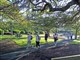BRISBANE RIVERWALK